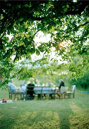 summer backyard party - Dinner in a garden. Foto de stock - Sin royalties Premium, Código: 6102-03749984