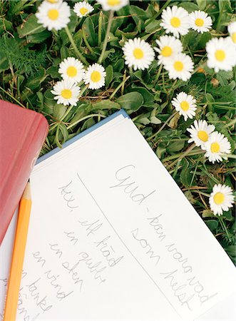 Notes about God on a paper in the grass. Foto de stock - Sin royalties Premium, Código: 6102-03750255