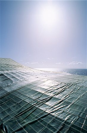 spain greenhouse - Banana plantation, Canary Islands. Stock Photo - Premium Royalty-Free, Code: 6102-03750472