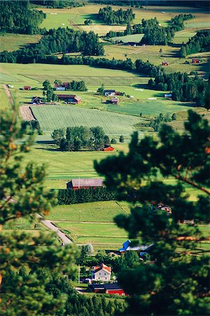 simsearch:6102-04929378,k - View of the countryside, Sweden. Stock Photo - Premium Royalty-Free, Code: 6102-03751122