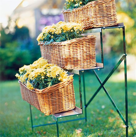 Baskets of yellow flowers on stand in garden Foto de stock - Sin royalties Premium, Código: 6102-03858963