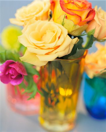 Multi coloured roses in vase Stock Photo - Premium Royalty-Free, Code: 6102-03859069