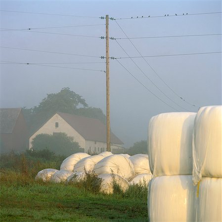 Piles of bale in fog covered landscape, electricity pylon and house in background Stock Photo - Premium Royalty-Free, Code: 6102-03859028
