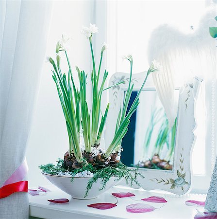 Feuilles de décoration faite de plante en pot, la cuvette et violet Photographie de stock - Premium Libres de Droits, Code: 6102-03859206