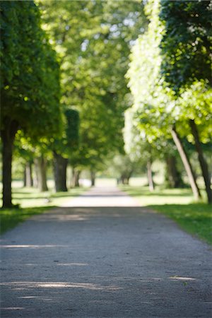 straight road - Avenue with trees, Stockholm, Sweden. Stock Photo - Premium Royalty-Free, Code: 6102-03865722