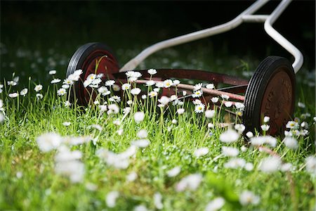Lawn mower in the grass, Sweden. Stock Photo - Premium Royalty-Free, Code: 6102-03866009