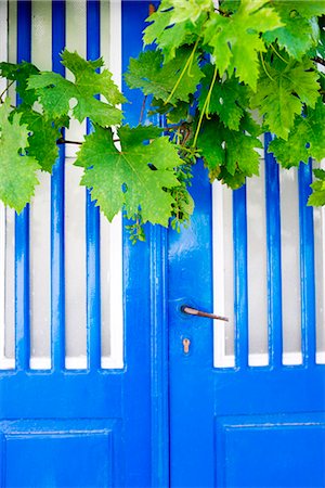 Stern of wine in front of a blue door, Greece. Stock Photo - Premium Royalty-Free, Code: 6102-03866592