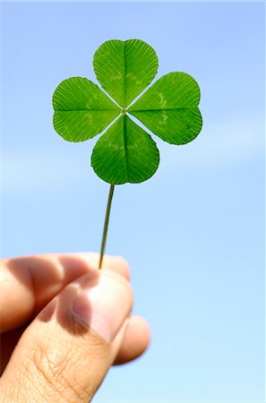 Hand holding a four-leaf clover, Sweden. Fotografie stock - Premium Royalty-Free, Codice: 6102-03866665