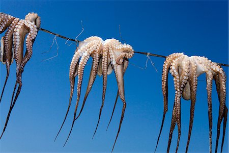 pieuvre - Octopus, Greece. Foto de stock - Sin royalties Premium, Código: 6102-03866604