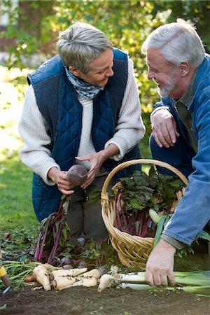 An old couple in the garden, Sweden. Stock Photo - Premium Royalty-Free, Code: 6102-03866954