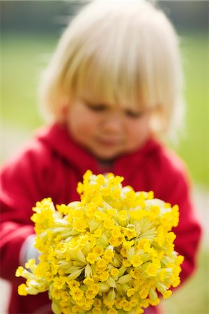 simsearch:6102-06777598,k - A girl with cowslips, Sweden. Stock Photo - Premium Royalty-Free, Code: 6102-03866933