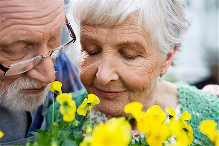 smelling (use the sense of smell) - An elderly scandinavian couple, Sweden, close-up. Stock Photo - Premium Royalty-Free, Code: 6102-03827025