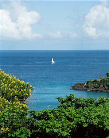 sail boats carribean - View of the the Caribbean Sea. Stock Photo - Premium Royalty-Free, Code: 6102-03827496
