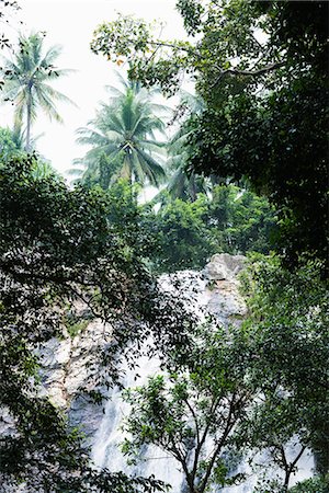 palm tree branches - A water fall in the jungle, Thailand. Stock Photo - Premium Royalty-Free, Code: 6102-03827755