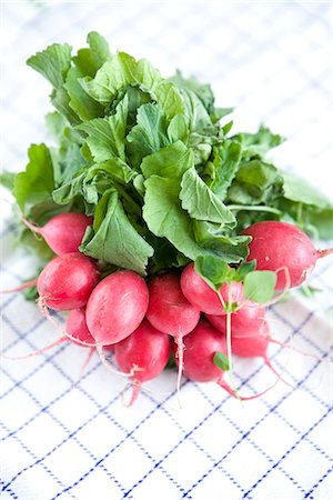 radishes - Radish on kitchen towel, close-up, Sweden. Stock Photo - Premium Royalty-Free, Code: 6102-03828377