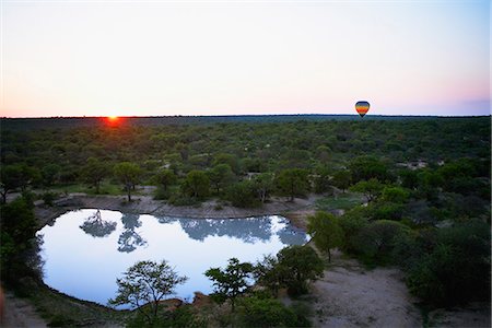 south africa forests - Kruger National Park with a distant balloon, South Africa. Stock Photo - Premium Royalty-Free, Code: 6102-03828312