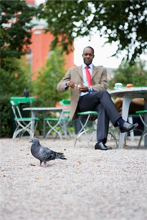 paloma - A man feeding pigeons, Stockholm, Sweden. Foto de stock - Sin royalties Premium, Código: 6102-03828724
