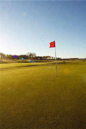 View empty of golf course Stock Photo - Premium Royalty-Free, Code: 6102-03828863