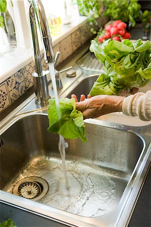 simsearch:6102-06777551,k - Salad being washed, Sweden. Stock Photo - Premium Royalty-Free, Code: 6102-03904742