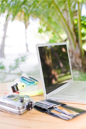 A laptop, camera and wallet under a palm tree, the Maldives. Foto de stock - Sin royalties Premium, Código: 6102-03904800