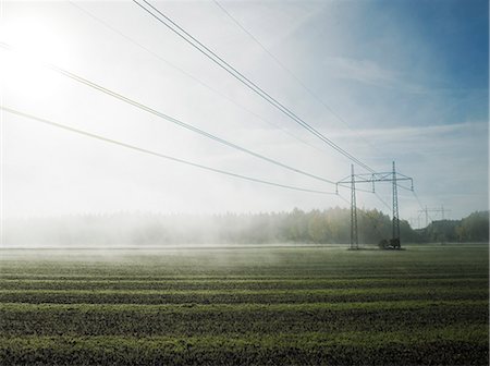 fil électrique - Lignes électriques au-dessus d'un champ brumeux, Suède. Photographie de stock - Premium Libres de Droits, Code: 6102-03905052