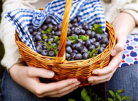 A basket of blueberries, Sweden. Stock Photo - Premium Royalty-Free, Code: 6102-03905200