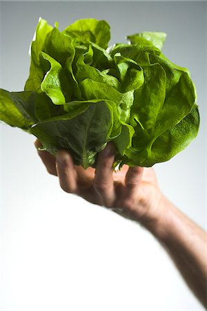 Man holding lettuce in his hands. Foto de stock - Sin royalties Premium, Código: 6102-03905373