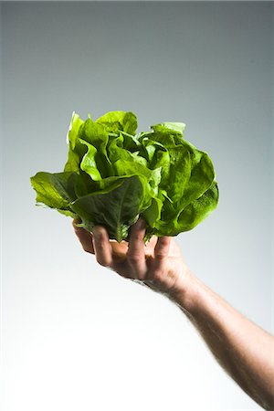 fruta y verdura - Man holding lettuce in his hands. Foto de stock - Sin royalties Premium, Código: 6102-03905387