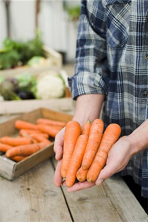 simsearch:6113-08985946,k - Man holding carrots in his hands. Foto de stock - Sin royalties Premium, Código: 6102-03905316