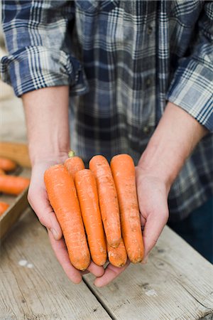 simsearch:6102-03905363,k - Man holding carrots in his hands. Stock Photo - Premium Royalty-Free, Code: 6102-03905323