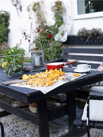 Chanterelles on a table in a garden, Sweden. Stock Photo - Premium Royalty-Free, Code: 6102-03905574