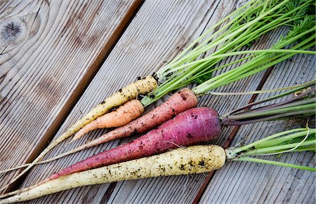 Carrots in different colors, Sweden. Stock Photo - Premium Royalty-Free, Code: 6102-03905720