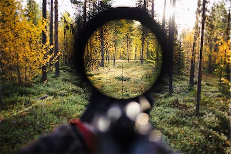 View of trees through rifle sight Stock Photo - Premium Royalty-Free, Code: 6102-03905976