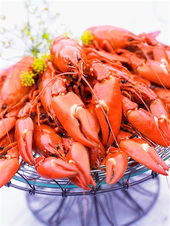 Crayfish on serving tray Foto de stock - Royalty Free Premium, Número: 6102-04929381