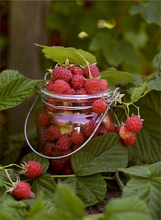 simsearch:6102-05802571,k - Close-up of raspberries in jar Stock Photo - Premium Royalty-Free, Code: 6102-04929691