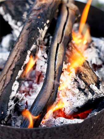 simsearch:695-03375511,k - Burning log, close-up Stock Photo - Premium Royalty-Free, Code: 6102-04929796