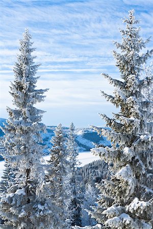 suecia - Winter landscape Foto de stock - Sin royalties Premium, Código: 6102-04929866