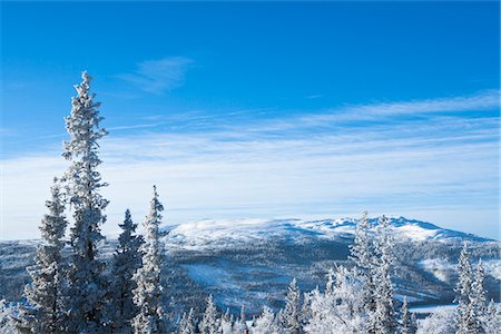 sommets enneigés - Paysage d'hiver avec la forêt Photographie de stock - Premium Libres de Droits, Code: 6102-04929872