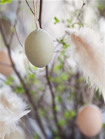 Easter eggs with feather Fotografie stock - Premium Royalty-Free, Codice: 6102-05655502