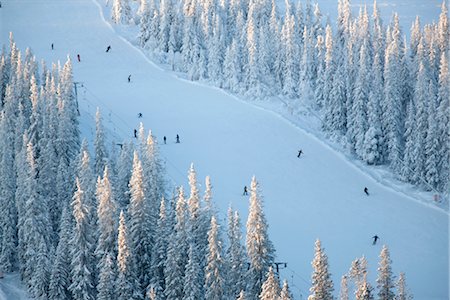 simsearch:6102-03905153,k - Skiers on ski slope Foto de stock - Sin royalties Premium, Código: 6102-05603704