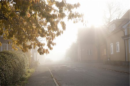 street in the city nobody - Morning haze in residential district Stock Photo - Premium Royalty-Free, Code: 6102-06336574