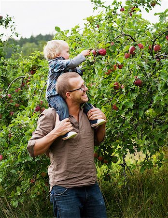 Father picking apples with his young son Foto de stock - Sin royalties Premium, Código: 6102-06336684