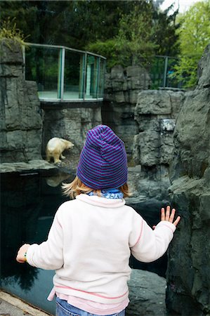 Fille regardant l'ours au zoo Photographie de stock - Premium Libres de Droits, Code: 6102-06336604