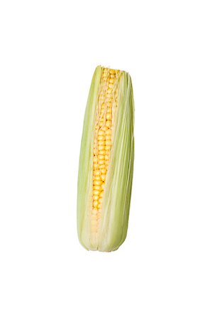 Studio shot of corn on the cob Stock Photo - Premium Royalty-Free, Code: 6102-06336746