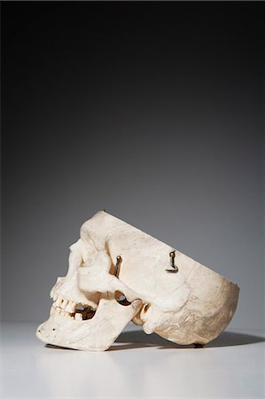 simsearch:6102-06336804,k - Anatomical model of human skull Foto de stock - Sin royalties Premium, Código: 6102-06336763