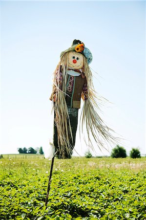 espantalho - Funny scarecrow on field Foto de stock - Sin royalties Premium, Código: 6102-06336707
