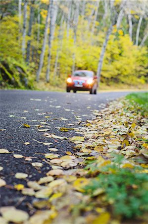 Car on road covered in autumn leaves Stock Photo - Premium Royalty-Free, Code: 6102-06337047