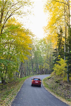 simsearch:6102-06336940,k - Car on road covered in autumn forest Foto de stock - Sin royalties Premium, Código: 6102-06337049