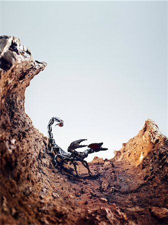 surreal - A scorpion, Sweden. Stockbilder - Premium RF Lizenzfrei, Bildnummer: 6102-06470357