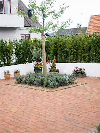 simsearch:6102-03828809,k - A paved garden, Sweden. Stock Photo - Premium Royalty-Free, Code: 6102-06470514